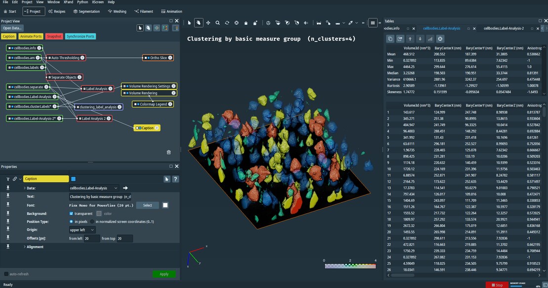 2021-05-04 21_13_31-Avizo - clustering_label_analysis.hx